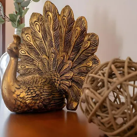 Moradia Boa Vista Villa *