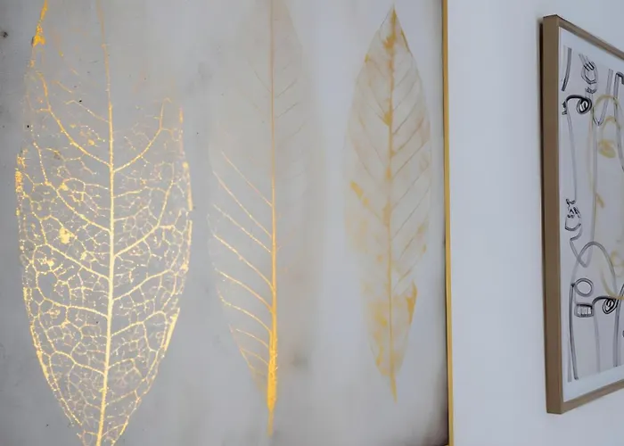 Villa Moradia Boa Vista