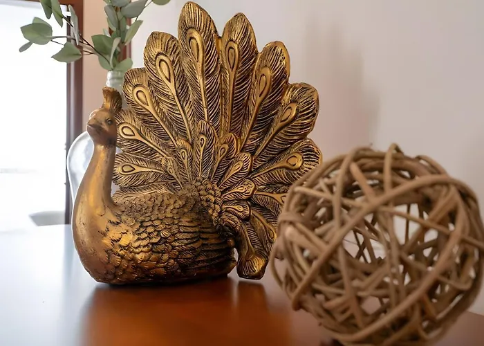 Moradia Boa Vista Villa *